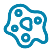 Klamidia (Chlamydia)