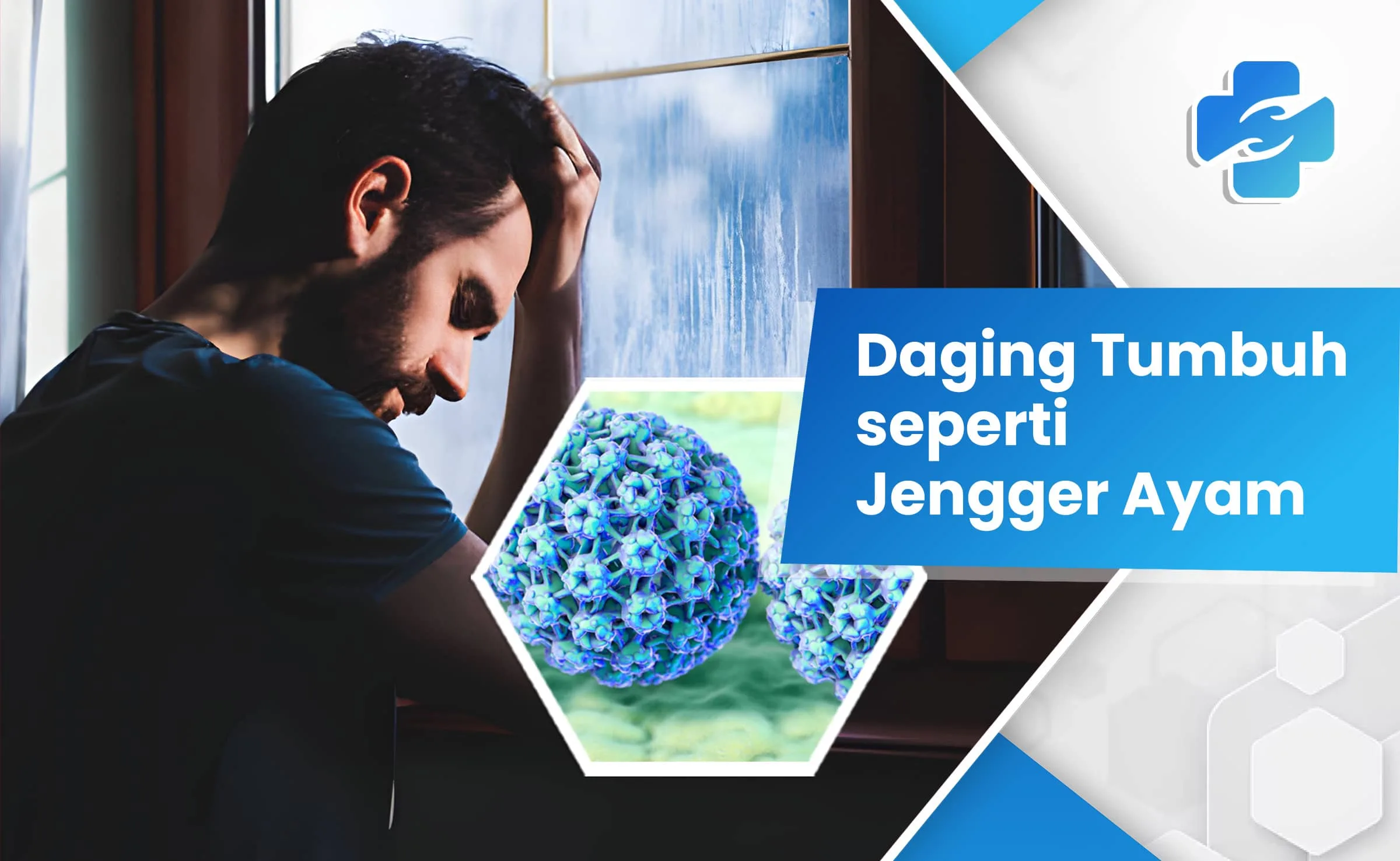 daging tumbuh seperti jengger ayam 1