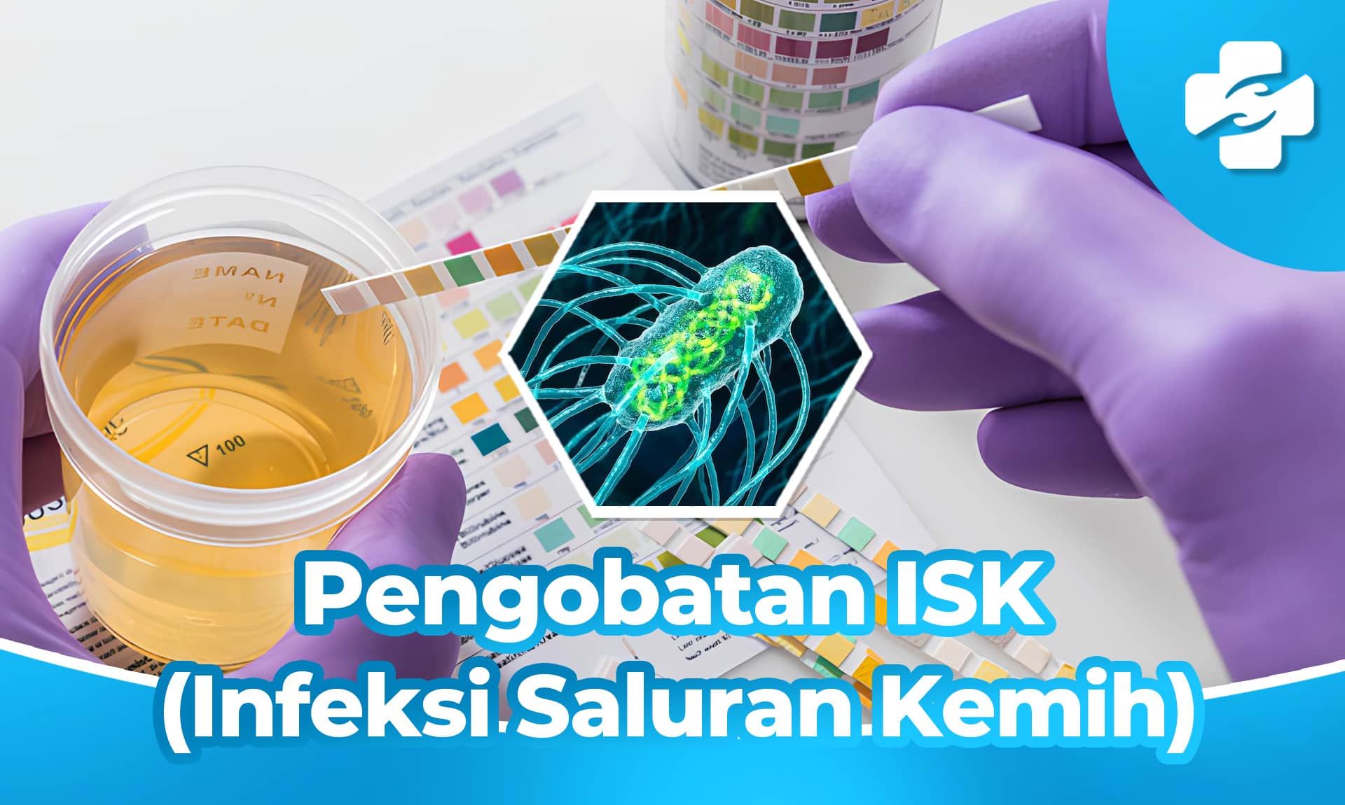 Infeksi Saluran Kemih ISK Penyebab Gejala Dan Pengobatan