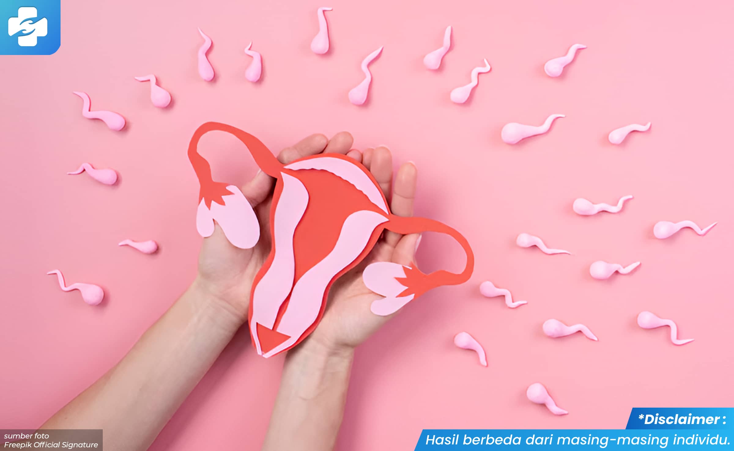 Gambar Vagina Penyakit pada Wanita