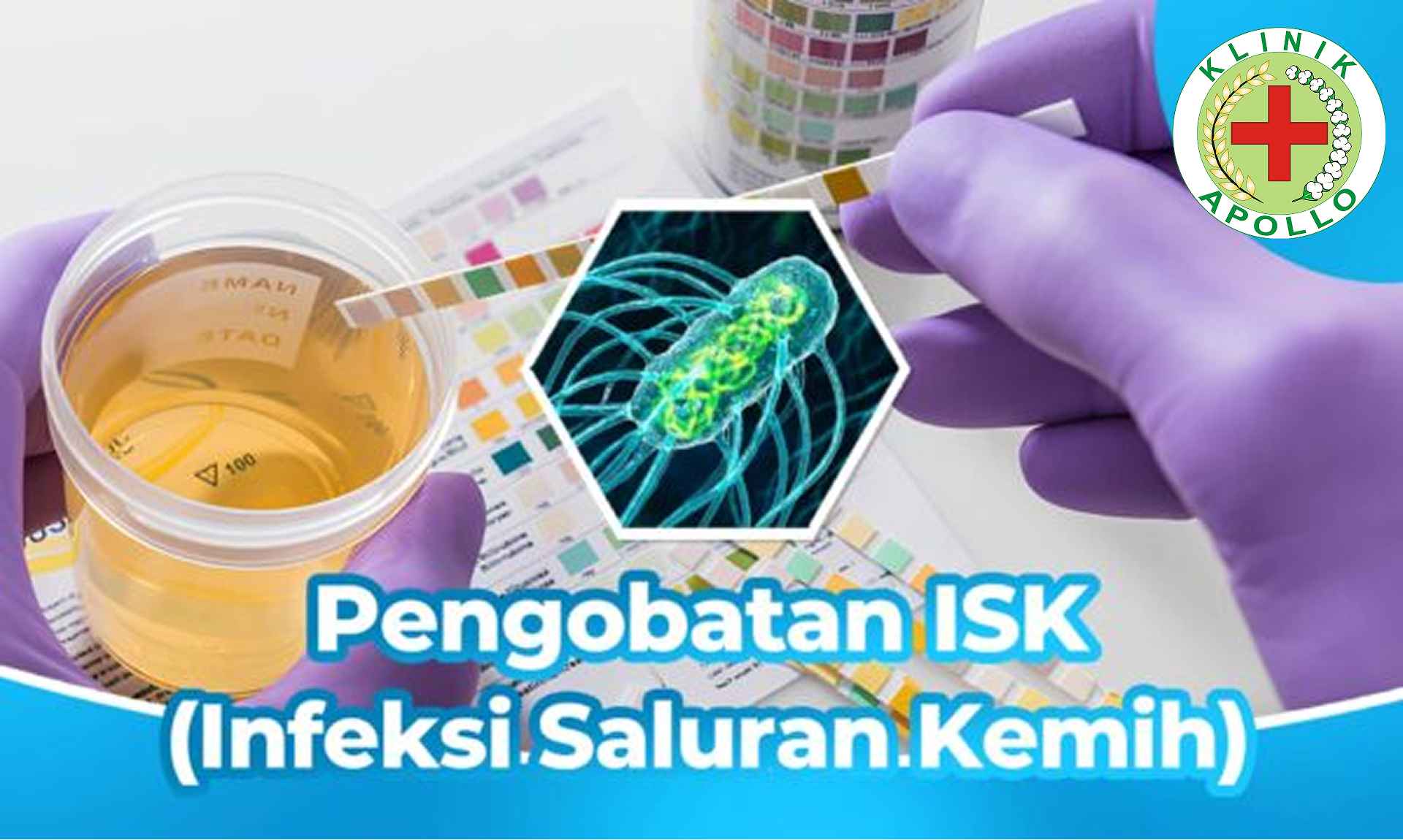 Infeksi Saluran Kemih Infeksi Saluran Kemih